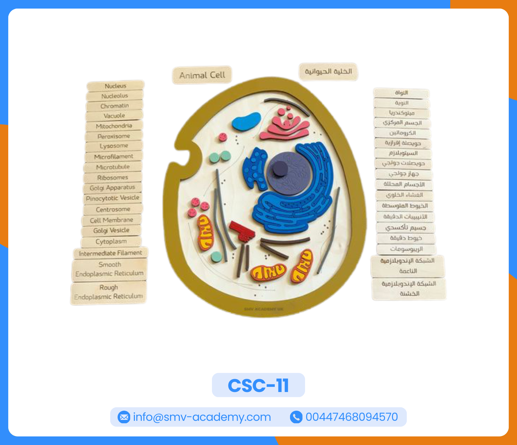 الخلية الحيوانية